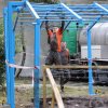 Solankowy Koszmar 2018