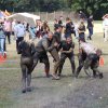Solankowy Koszmar 2018