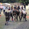 Solankowy Koszmar 2018