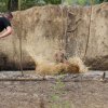 Solankowy Koszmar 2018
